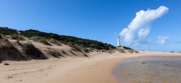 Strand van Faro de Trafalgar in Barbate (Cadiz)